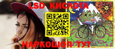 spice Кингисепп