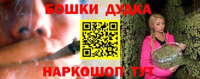 spice Кингисепп