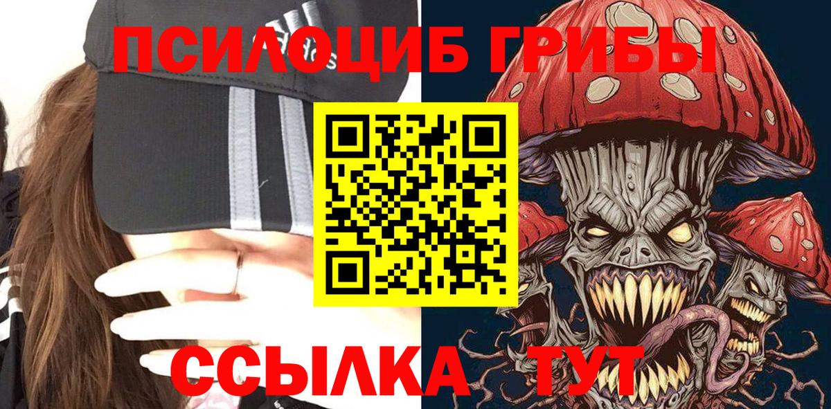 Ленинск-Кузнецкий  как найти наркотики  Вход с VPN  Галлюциногенные грибы мицелий 
