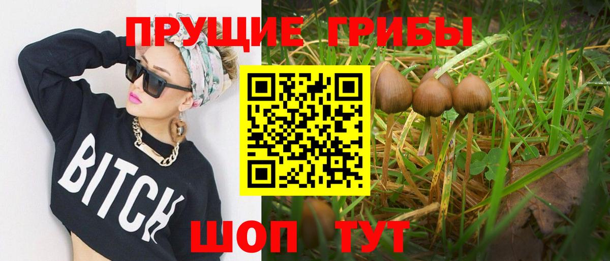 Галлюциногенные грибы Cubensis Ленинск-Кузнецкий